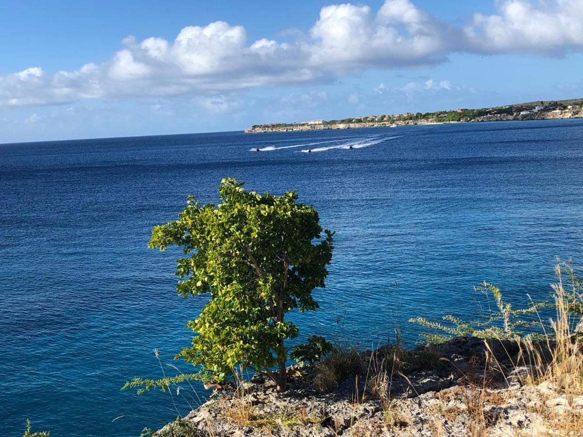 Marazul Dive Resort. 3 Bedroom Seafront House. Dive, Snorkel, Enjoy Amazing Sunsets Westpunt Exterior foto