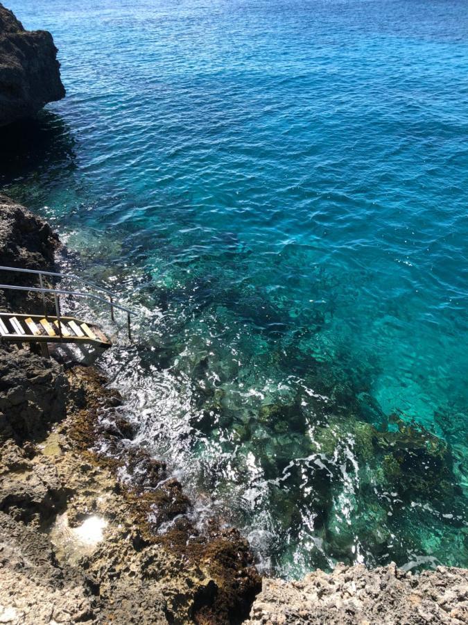 Marazul Dive Resort. 3 Bedroom Seafront House. Dive, Snorkel, Enjoy Amazing Sunsets Westpunt Exterior foto